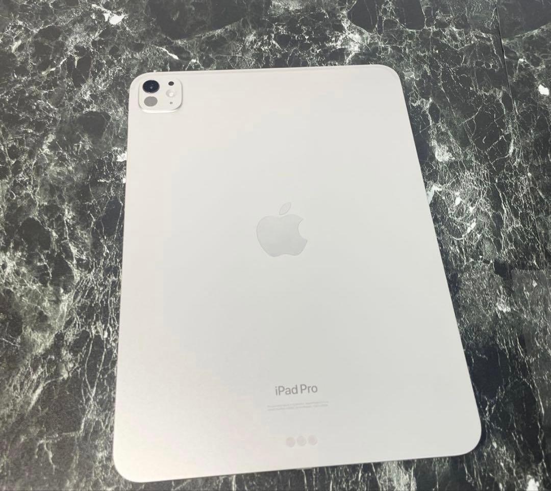 iPad本体 Apple iPad Pro 11 M4 WiFi 256GB MVV93J/A
