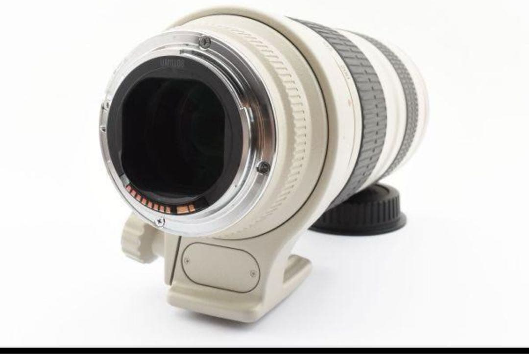 Canon EF 70-200mm f/2.8 ナナニッパ