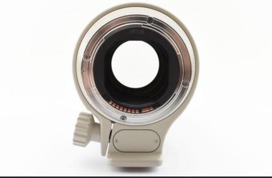 Canon EF 70-200mm f/2.8 ナナニッパ