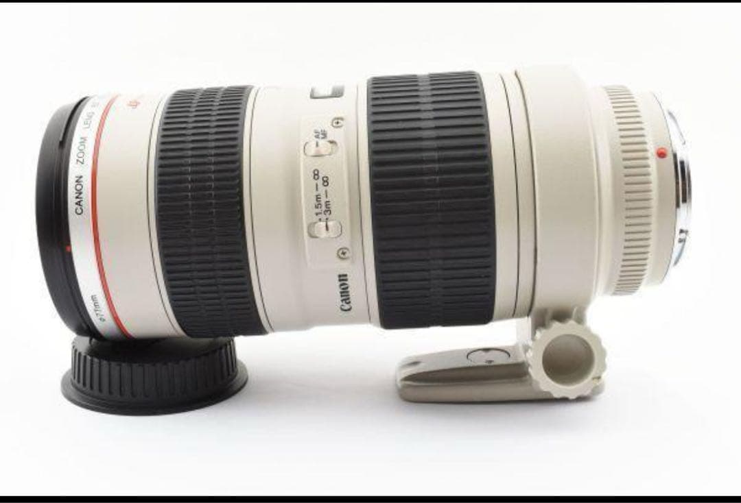 Canon EF 70-200mm f/2.8 ナナニッパ