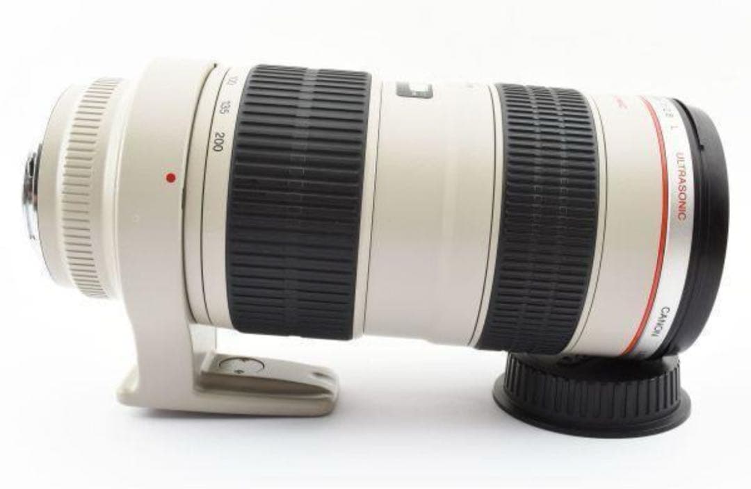 Canon EF 70-200mm f/2.8 ナナニッパ