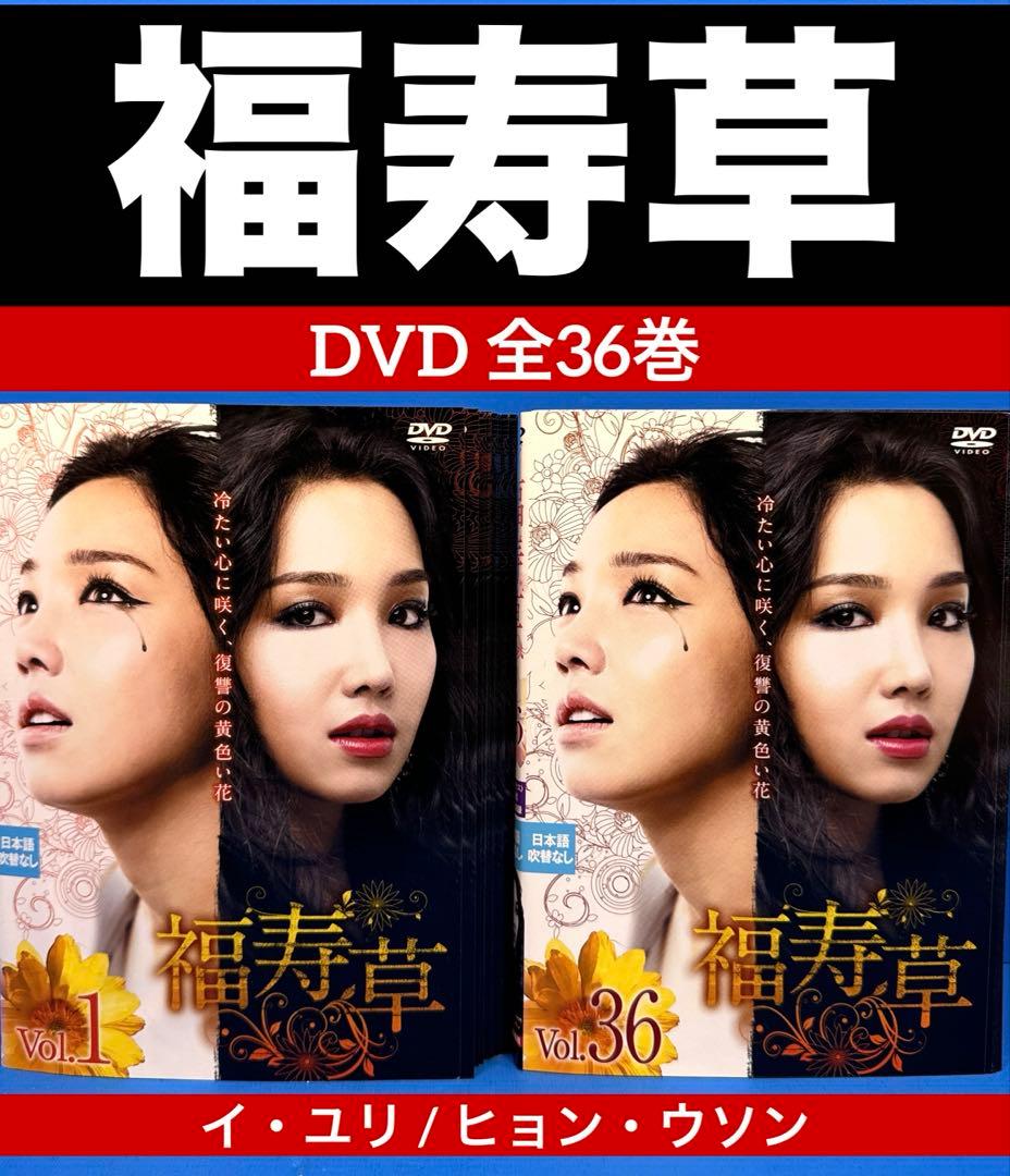 福寿草 DVD 全36巻 イ・ユリ / ヒョン・ウソン