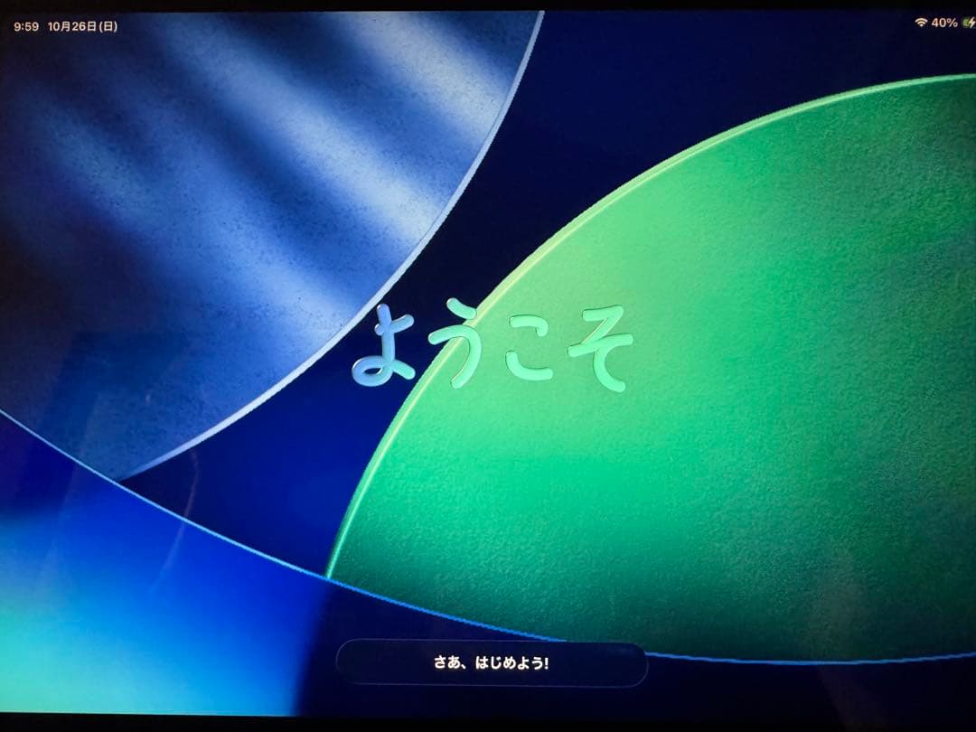 iPad Pro 11インチ 第三世代 Cellular モデル　256GB