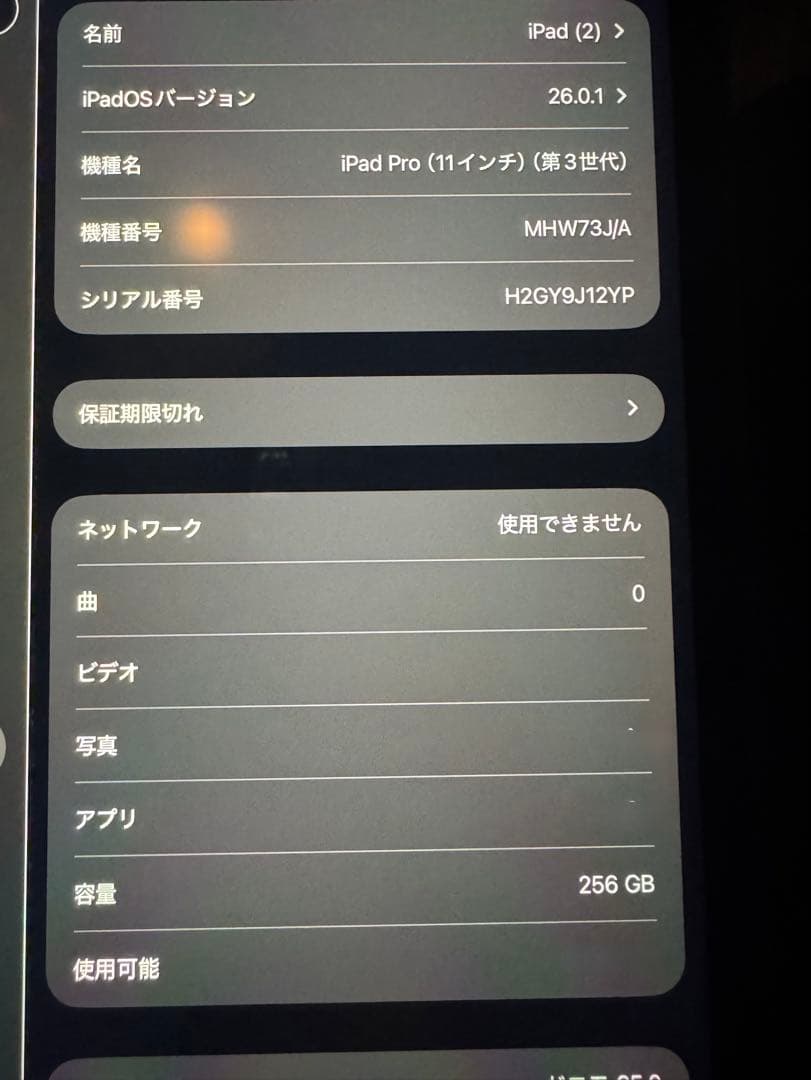 iPad Pro 11インチ 第三世代 Cellular モデル　256GB