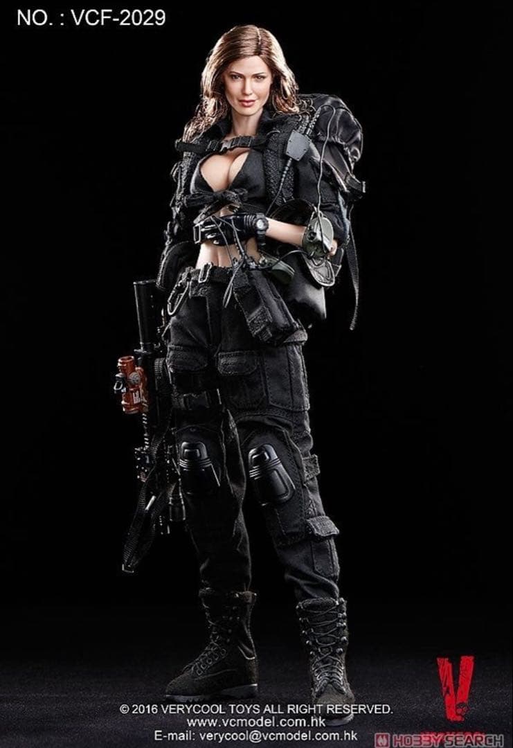 u*0様 verycool hottoys damtoys flagset 1/