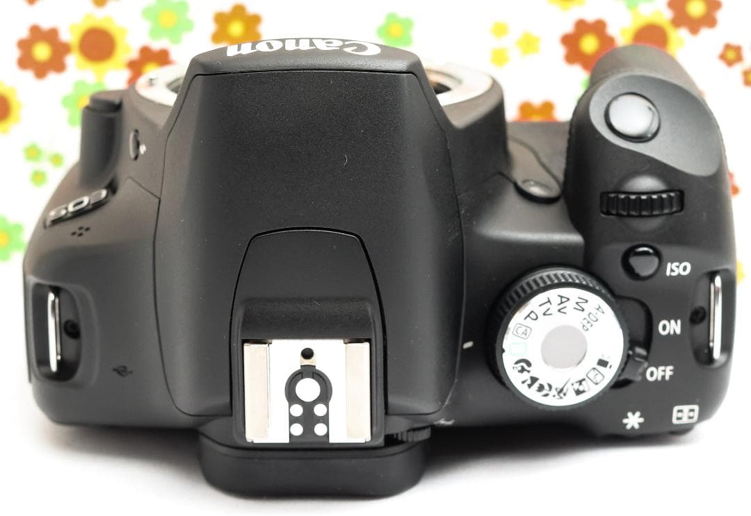 キャノン Canon kiss x3☆動画機能付☆お手頃価格☆スマホに転送