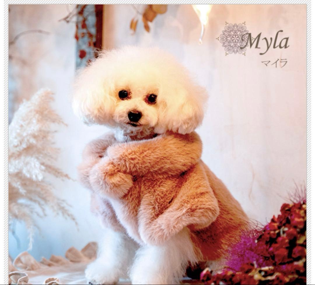 グラマーイズム　マイラ　S ピンク