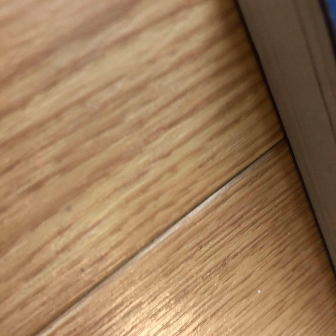 フラメンコの芸術