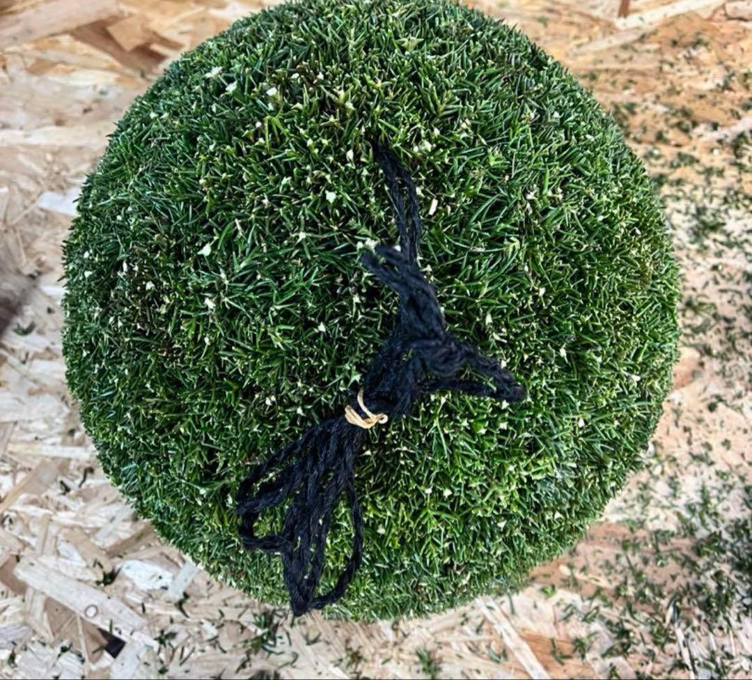 杉玉　約30センチ‼️縁起物　丸くて幸せ　家族円満♪