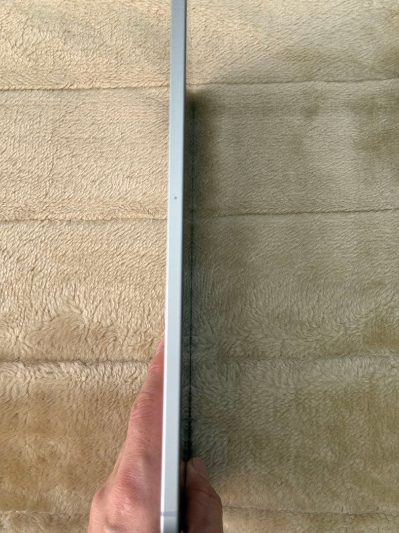 iPad Pro12.9 256G 第5世代