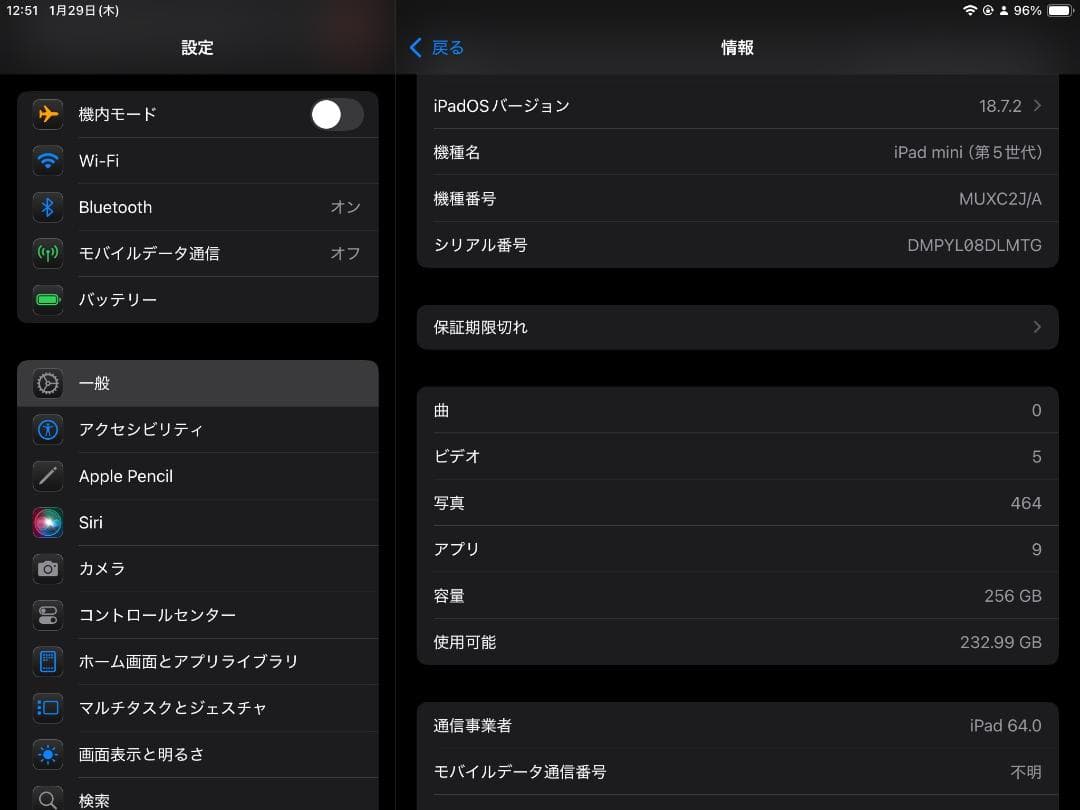 iPad mini 5 256GB Cellular スペースグレイ 本体のみ