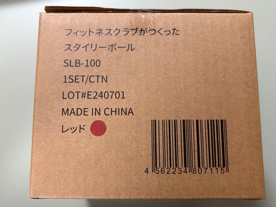 未使用❗️StylBall スタイリーボール SLB-100 8/16限定値下げ❗️