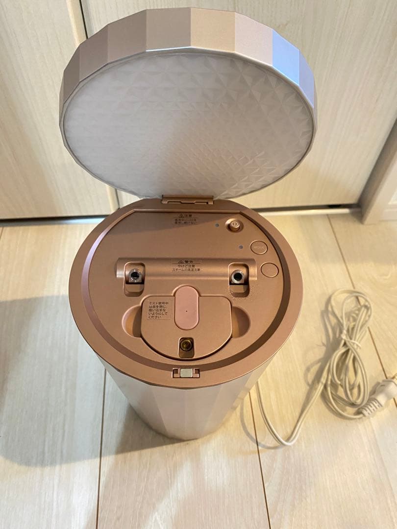 YA-MAN ヤーマン IS-100P 美顔器 フォトスチーマー