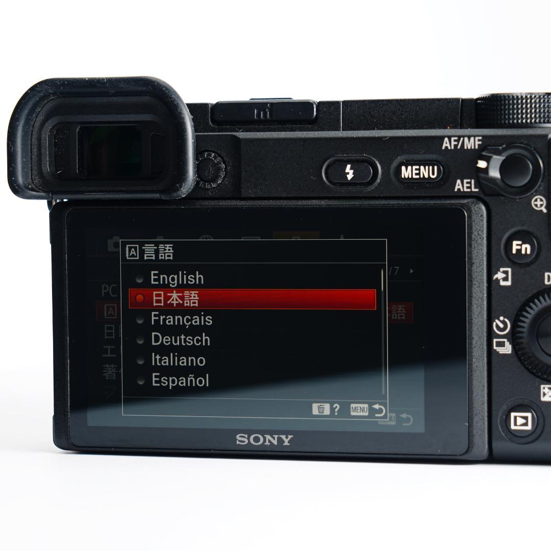 α6400で子供の瞬間を逃さない人生最後のチャンス SONY SD付き