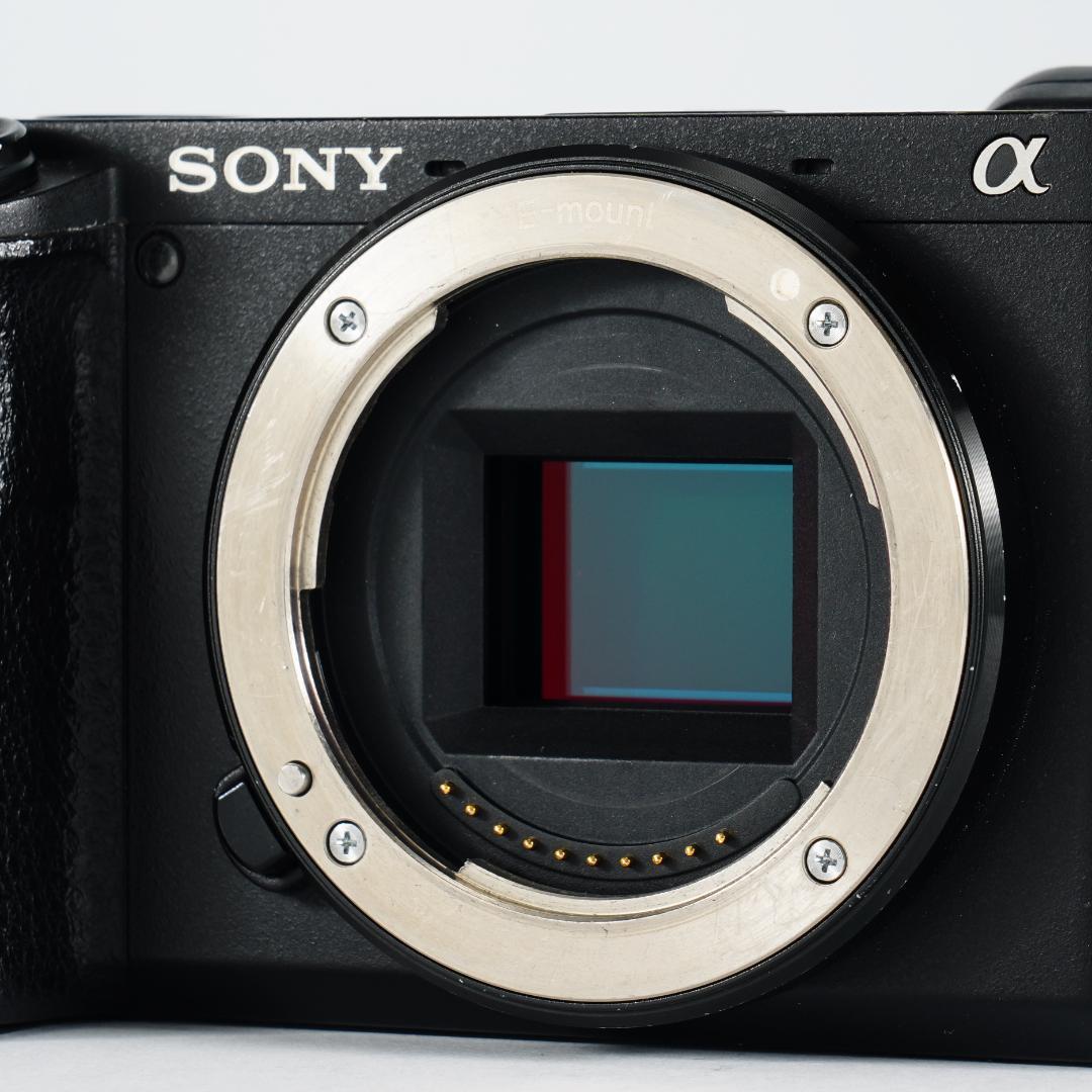 α6400で子供の瞬間を逃さない人生最後のチャンス SONY SD付き