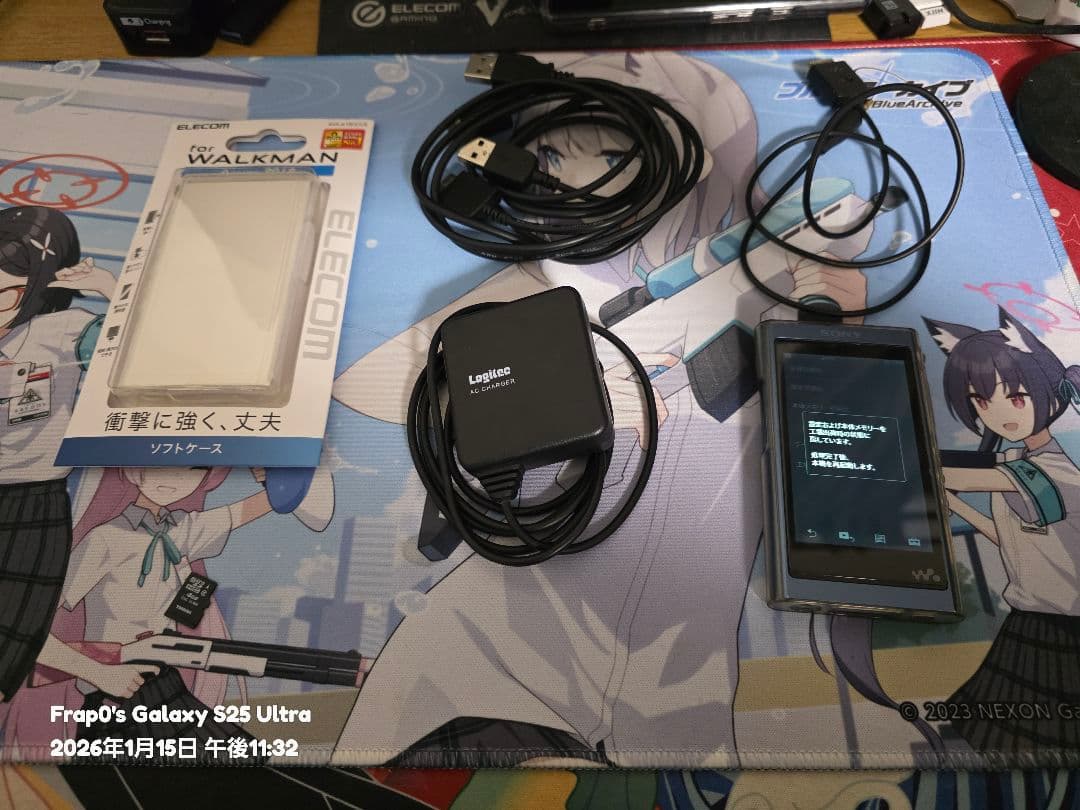 ソニー ウォークマン NW-A55 ブルー