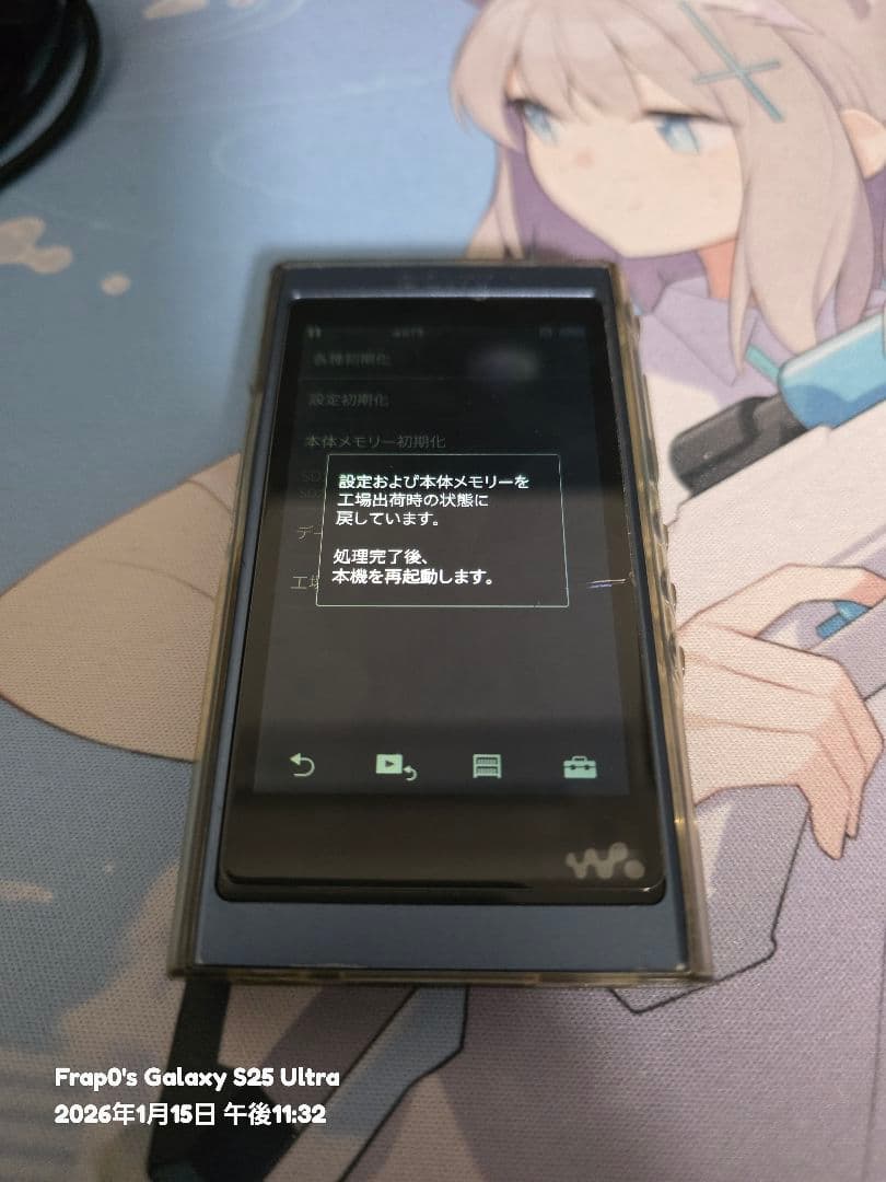 ソニー ウォークマン NW-A55 ブルー