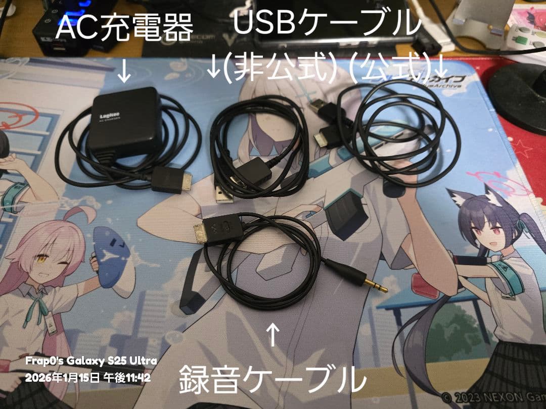 ソニー ウォークマン NW-A55 ブルー