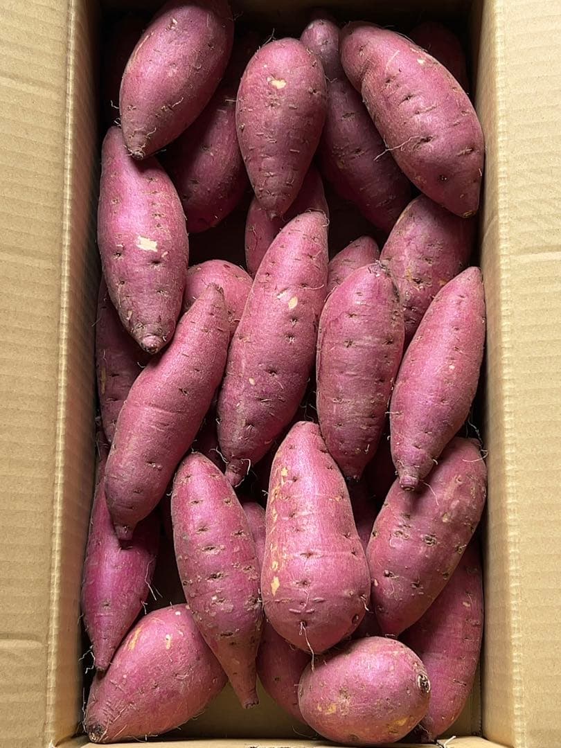 鹿児島県産 新芋 紅はるかA品 箱込20キロ M〜Lサイズ