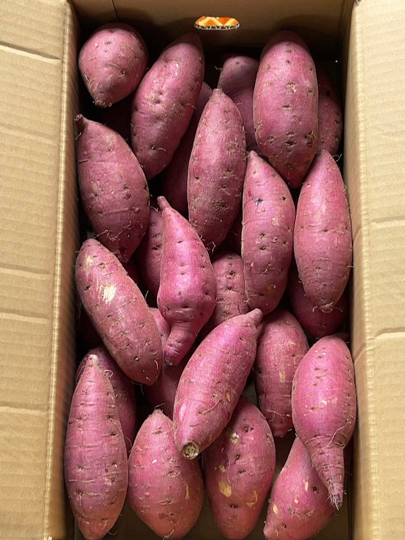 鹿児島県産 新芋 紅はるかA品 箱込20キロ M〜Lサイズ