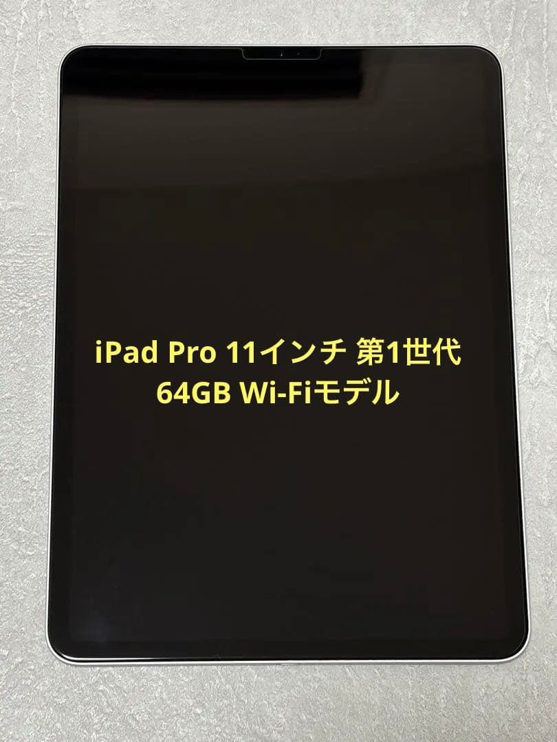 【美品】iPad pro 11インチ第一世代 シルバー 本体 おまけ付き