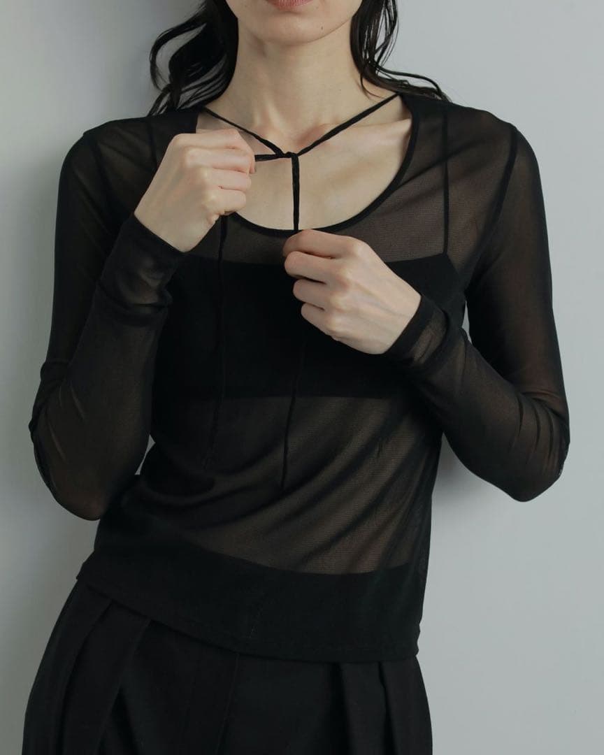anuke アンヌーク2way Sheer Tops【値下げ12/16まで】