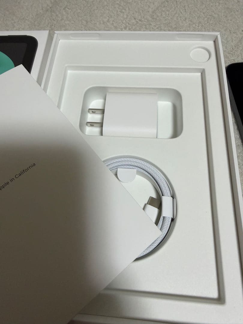 iPad mini Wi-Fi ＋ Cellularモデル 256GB