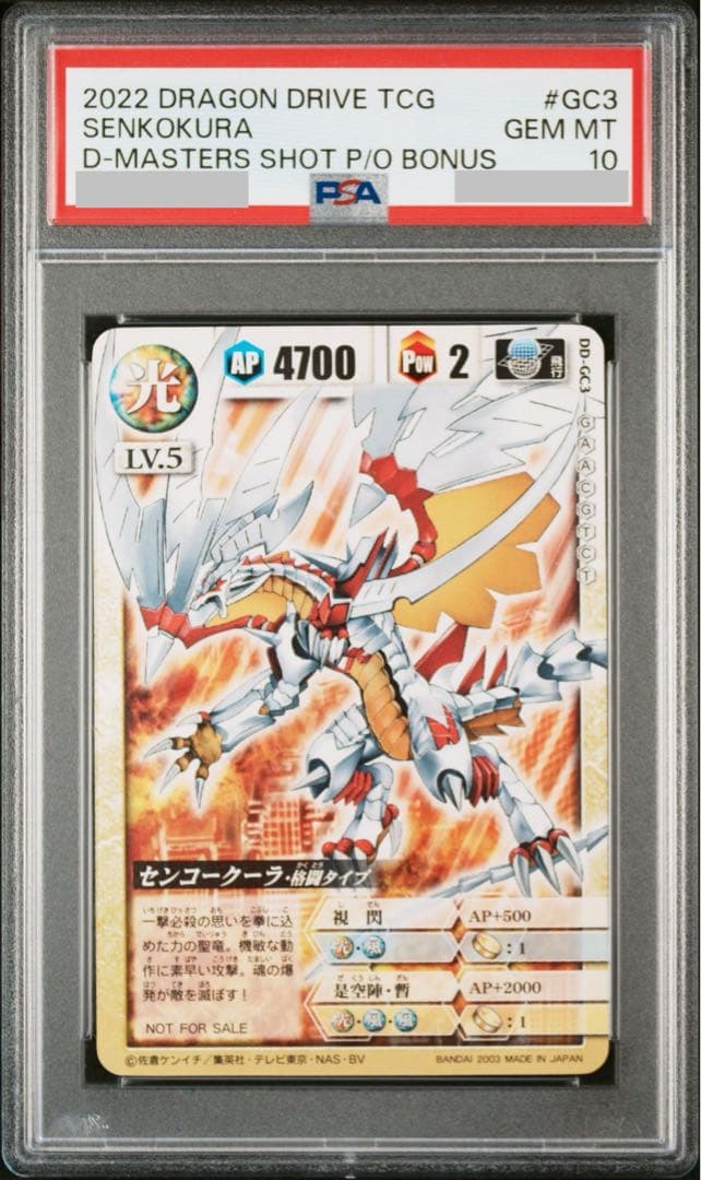 センコークーラ格闘タイプのPSA10❗️