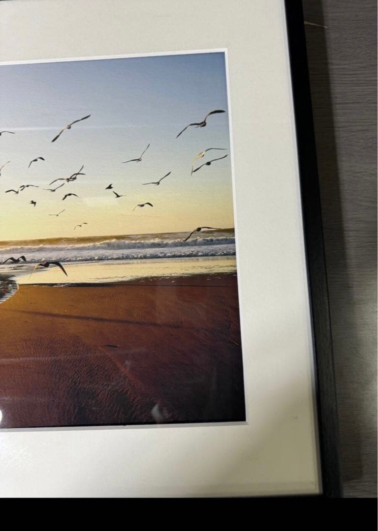 希少廃番　wtw モーガン　マッセン　フォトフレーム　BIRD モーガンマッセン