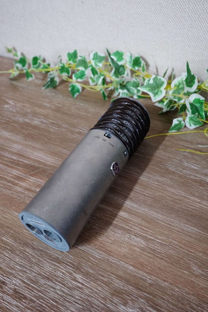 ☾*Shop Ruks★引越しの断捨離 さん専用。Aston Spirit