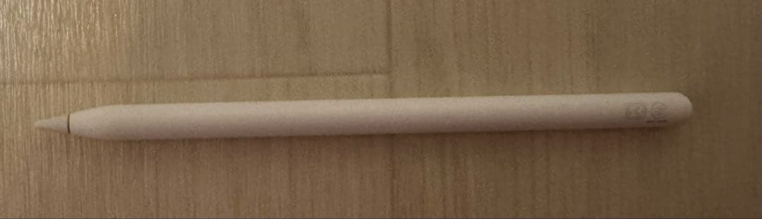 iPad Pro 11インチ　第2世代　256GB本体➕Apple Pencil