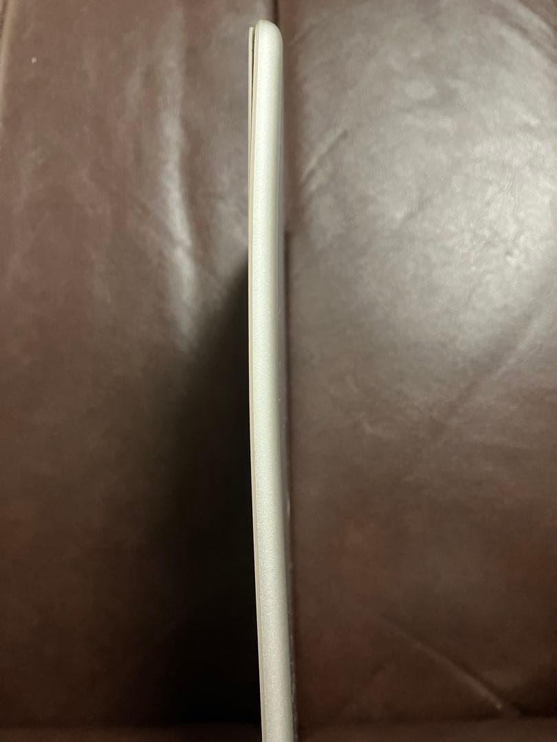 Apple iPad mini 5 シルバー64GB セルラー