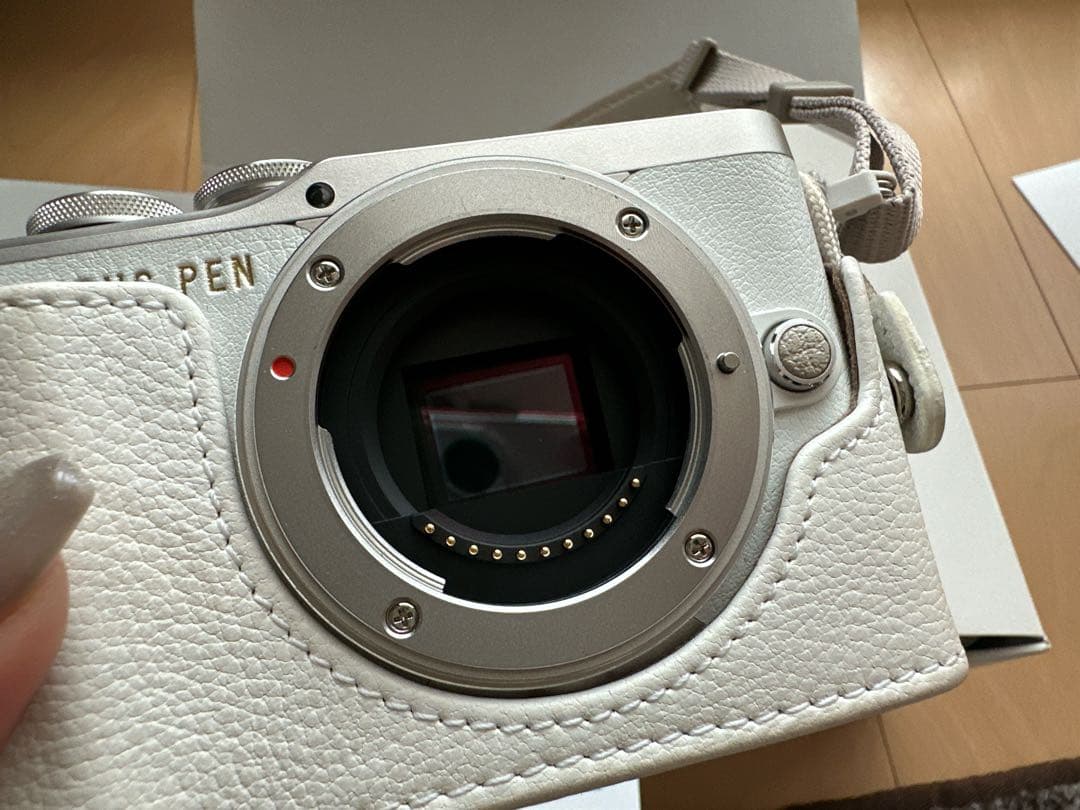 OLYMPUS PEN E-PL9 ダブルズームキット