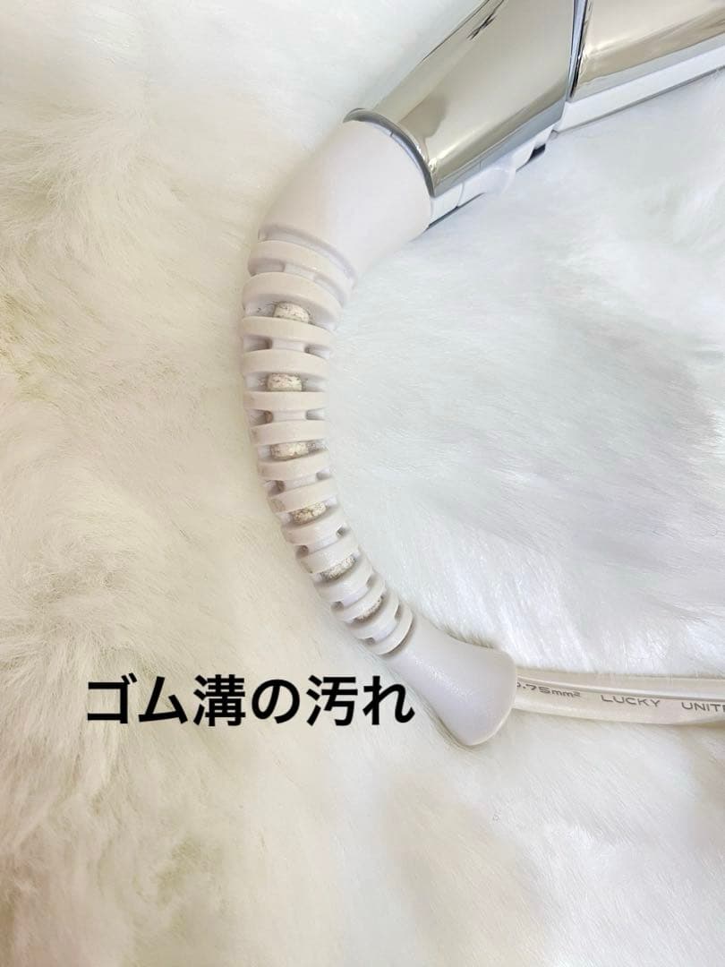 ReFa BEAUTECH STRAIGHT IRON リファストレートアイロン