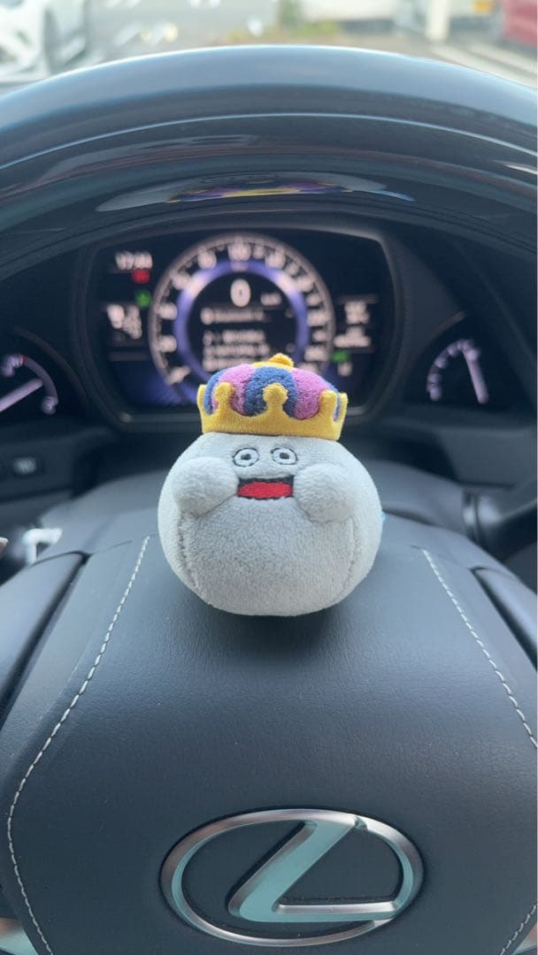 宮本ティグアン