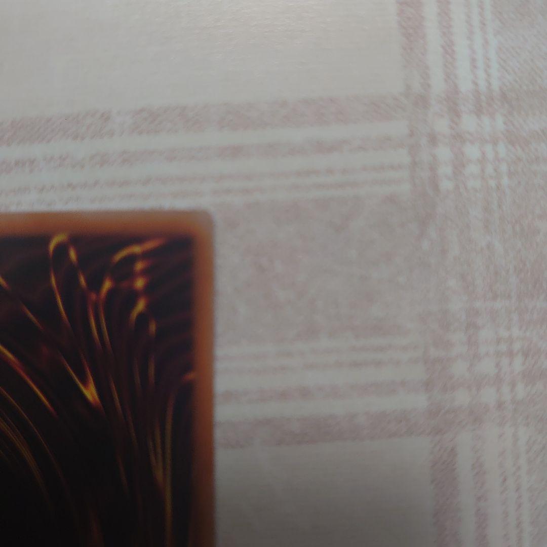 聖域を守護せし光の龍。