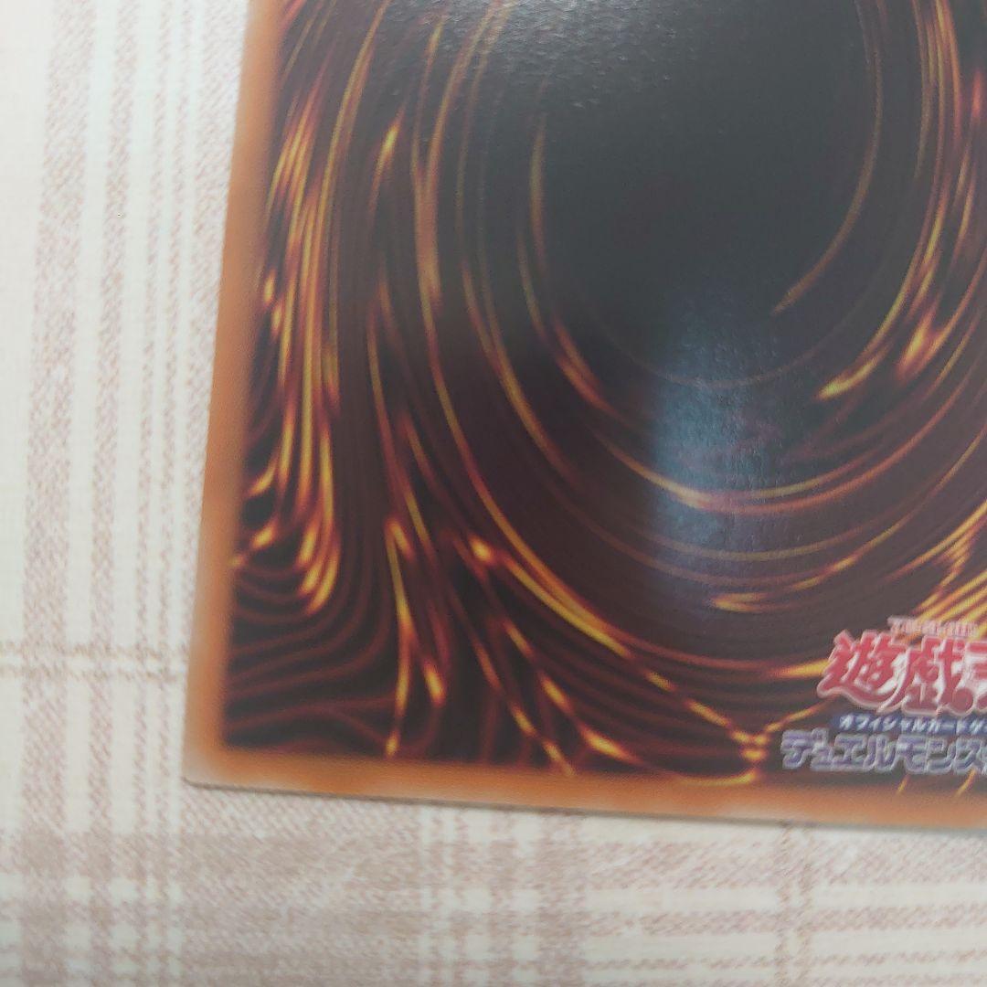 聖域を守護せし光の龍。