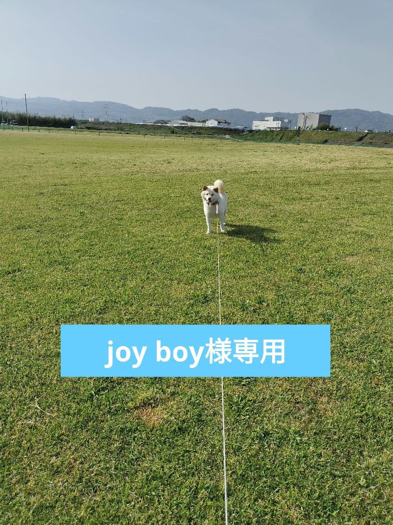 joy boy　虹のきらめき