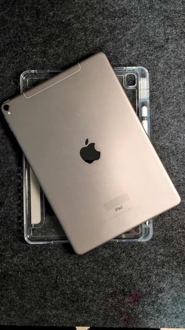 iPad本体 iPad Pro 10.5 64GB + Pencil Gen1 +20W