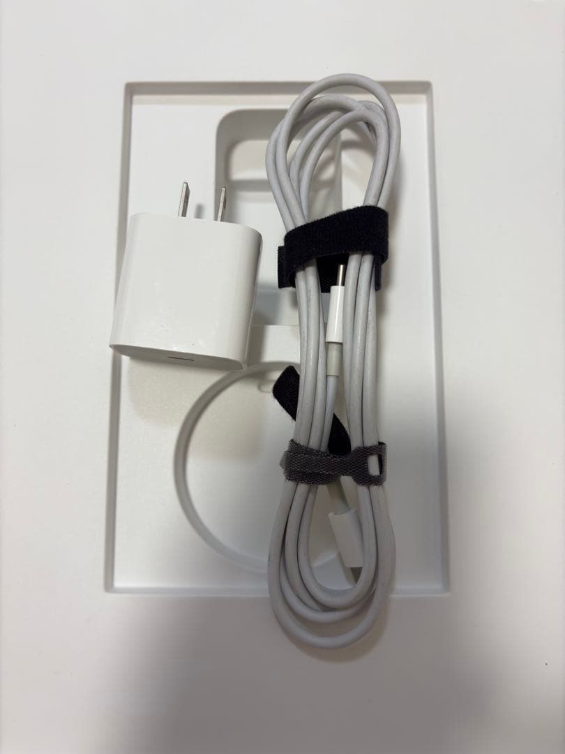 【本日中値下げ】iPad pro 12.9第3世代 512GB 箱 ペンシル付