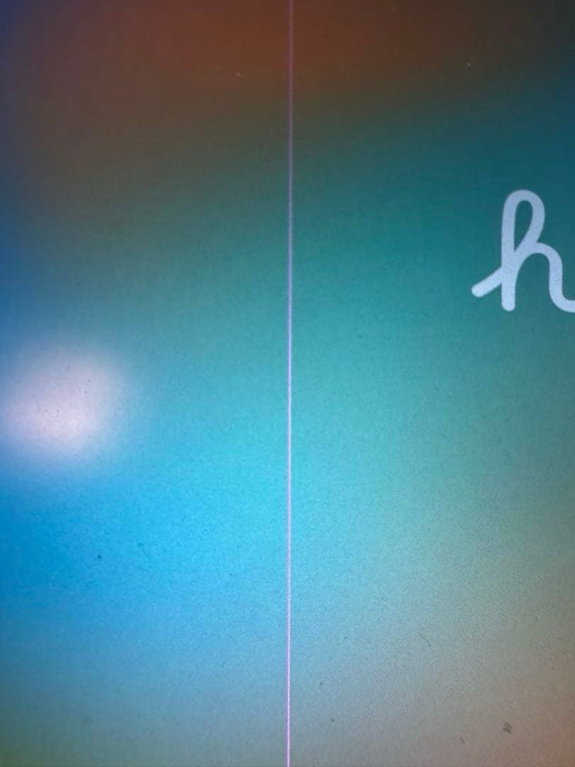 iPad Pro 12.9インチ 【画面難あり】【バッテリー劣化してます】