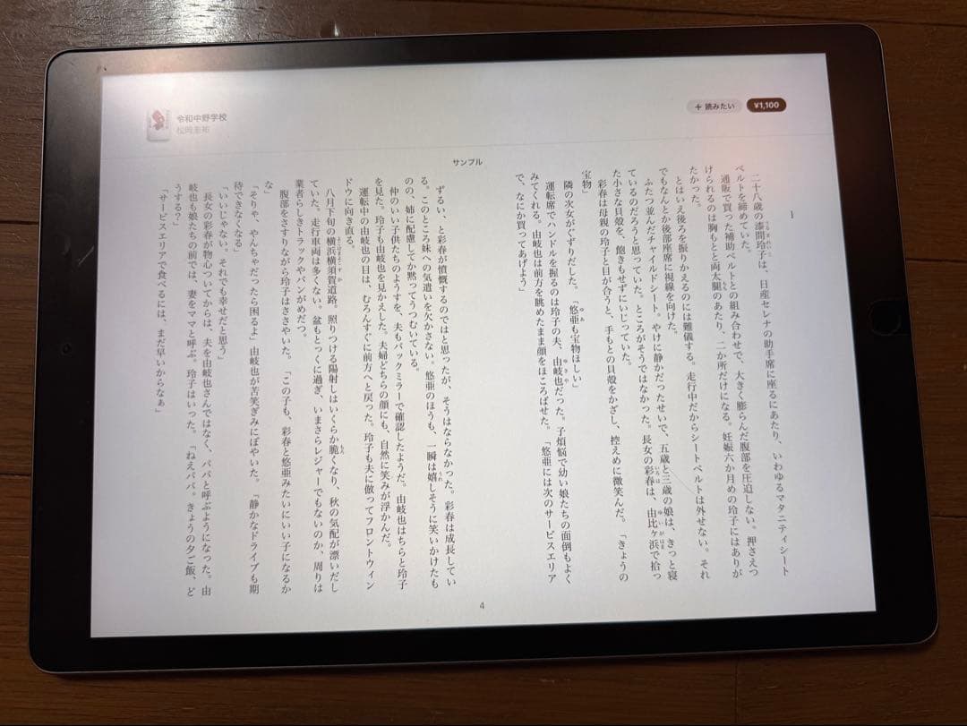 iPad Pro 12.9インチ 【画面難あり】【バッテリー劣化してます】