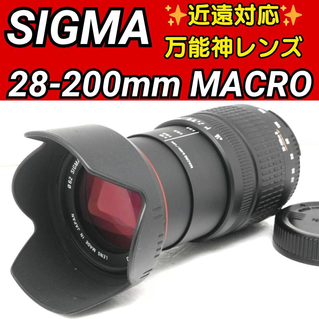 最強の万能神レンズ ✨ SIGMA 28-200mm Nikon シグマ