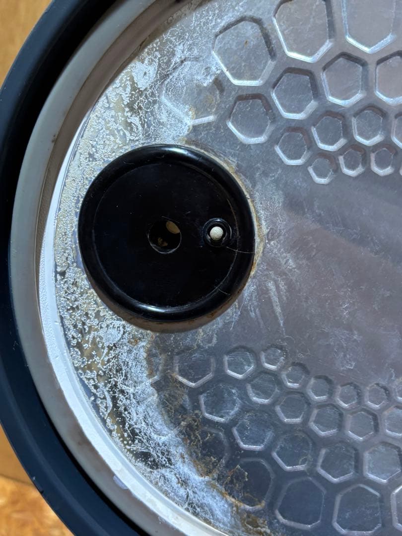 黒にんにくメーカー BG-05 エムケー精工