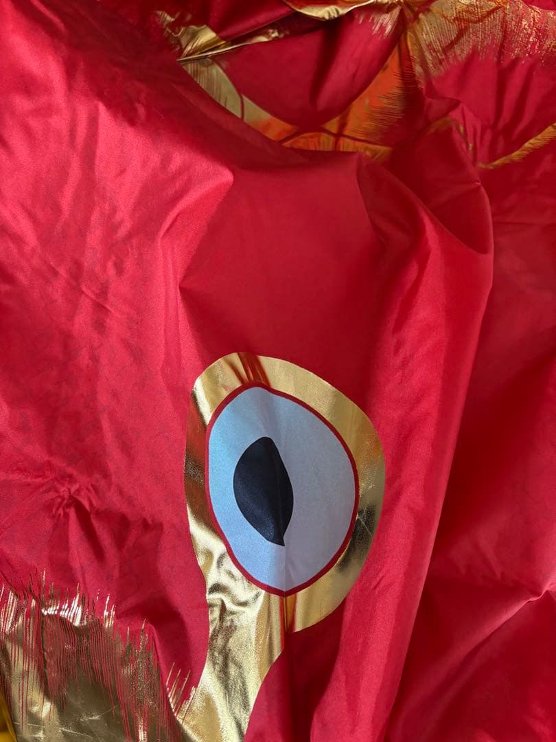 手染　廣重　伝統太郎鯉 5Mセット