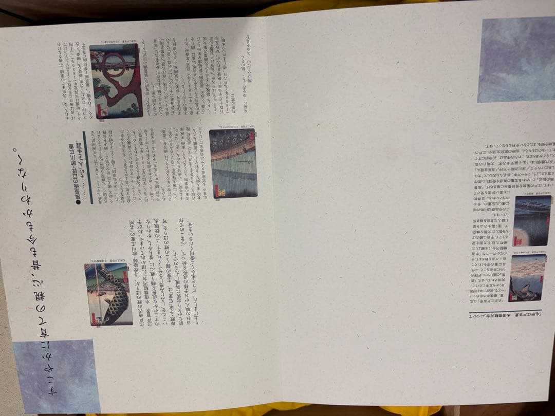 手染　廣重　伝統太郎鯉 5Mセット