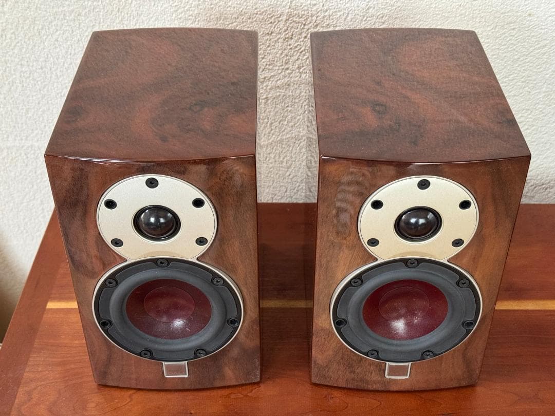 DALI MENEUT SE【玉杢入りの美品】