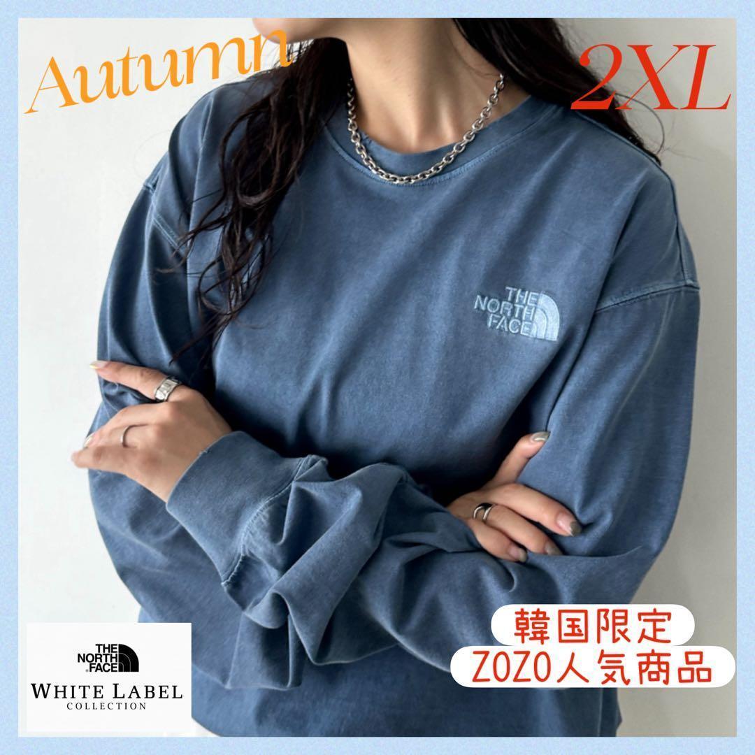 大特価‼️THE NORTH FACE カットソー　ブルー　ロンT 2XL