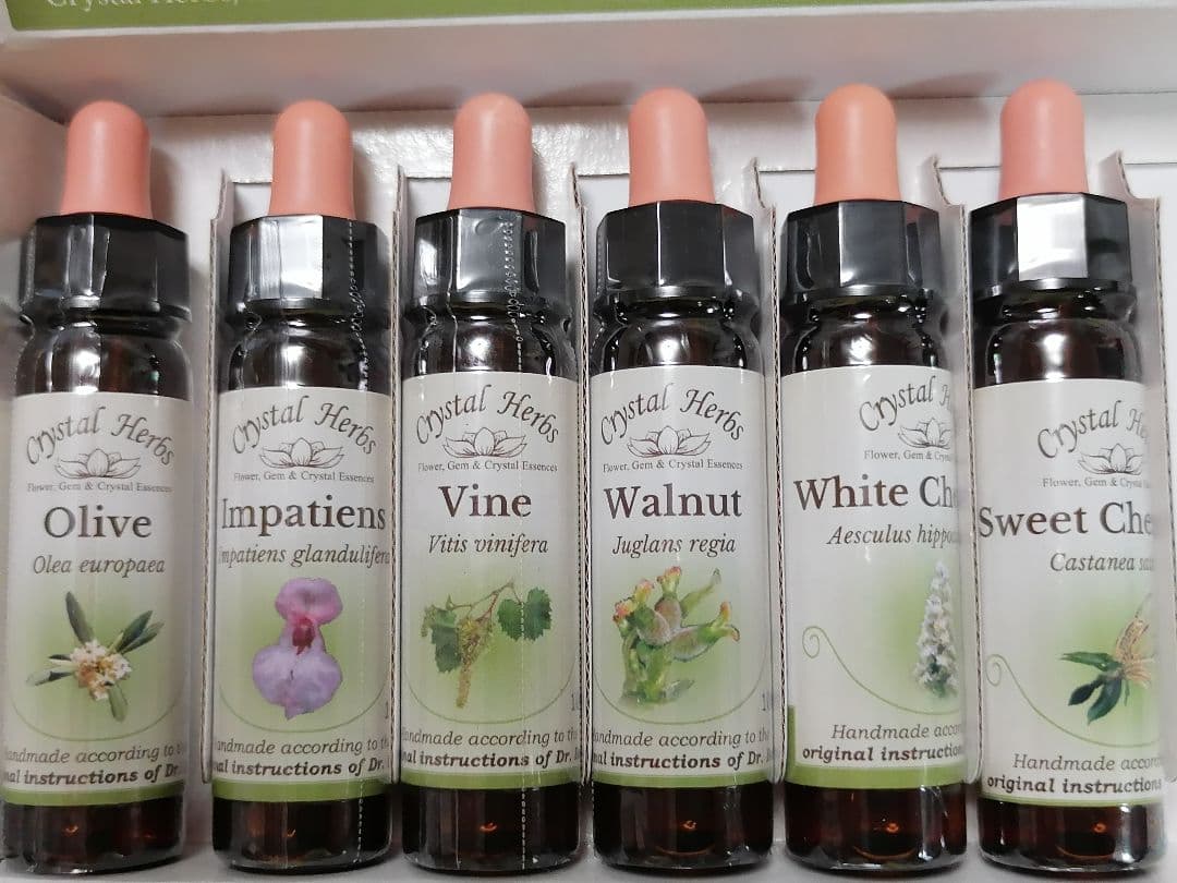 シャインマスカットさま専用