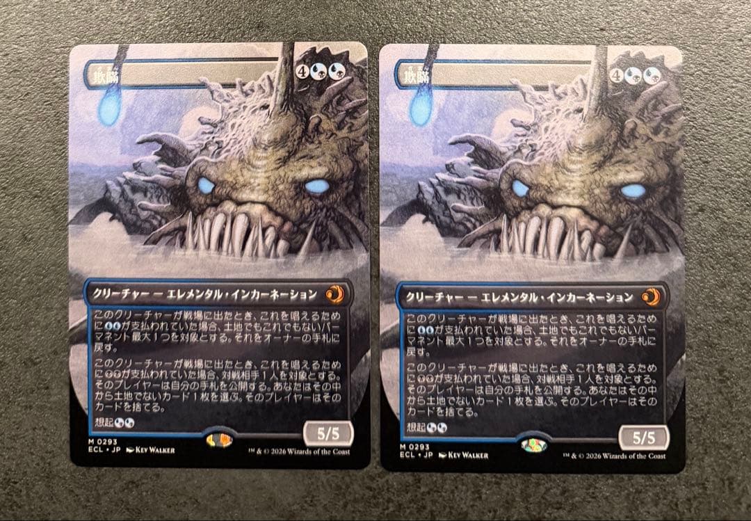 【早い者勝ち】欺瞞 ボーダーレス 日本語 2枚セット